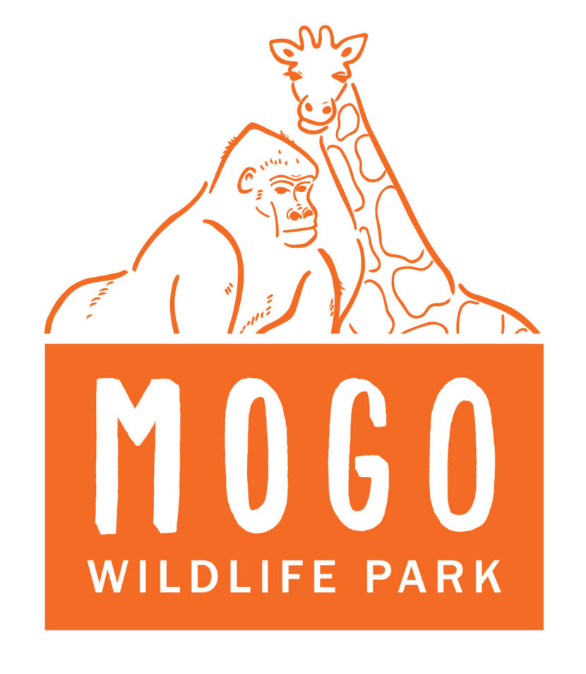 Mogo Zoo
